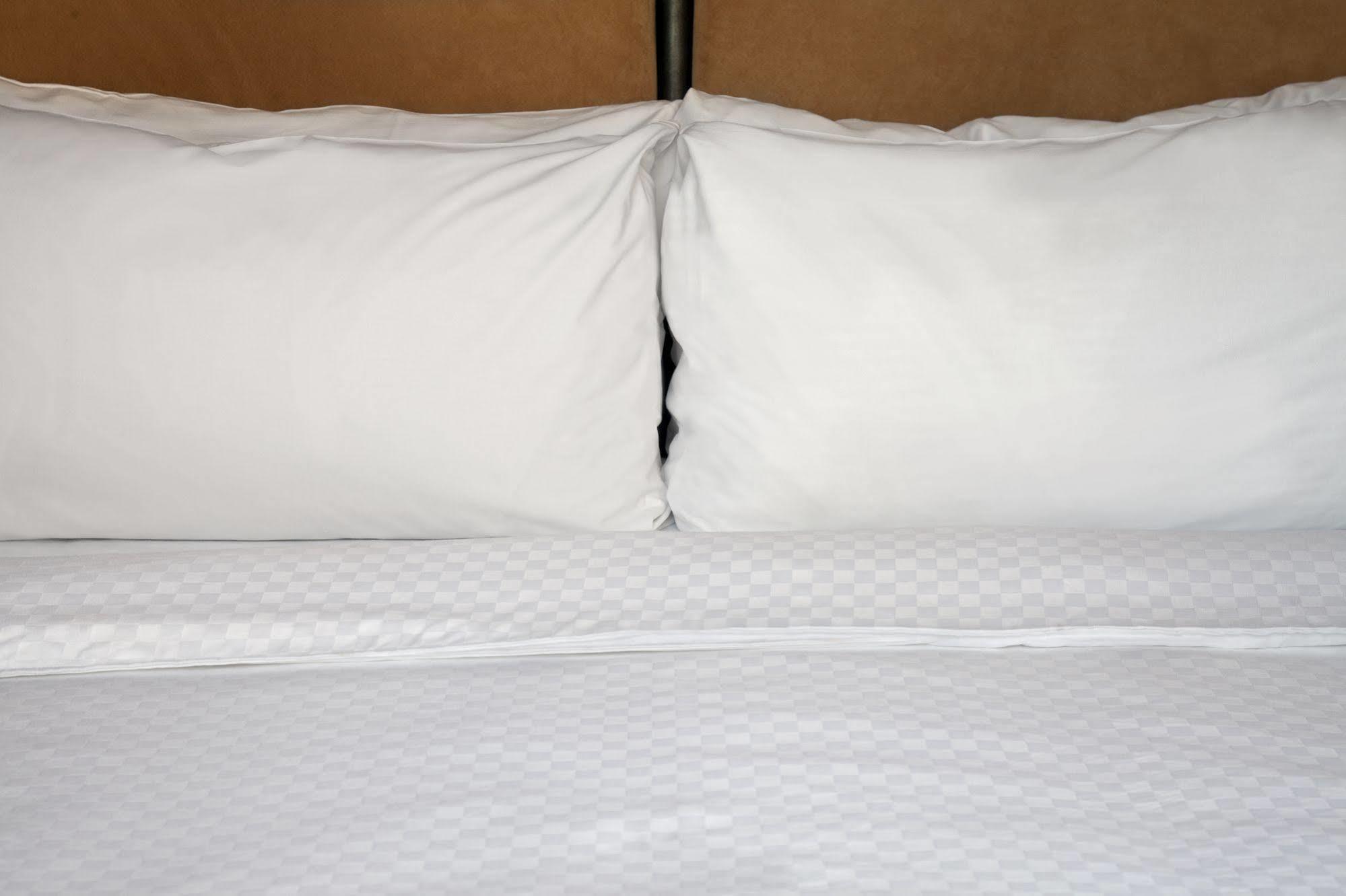 Sheraton Suites Fort Lauderdale at Cypress Creek Buitenkant foto